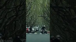 🍀上海，彷彿是一曲流淌著寧靜的華爾茲，步履絲滑地在你心裡游來蕩去，流進你心脈的是燦若星辰的襲人朝氣，在血管里蒸騰不息～愛上海，一點理由都不需要～