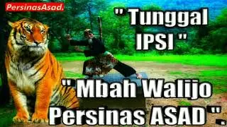 mbah walijo in action (greetings persinas & footage of single standard moves ipsi)