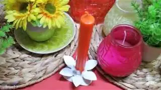 Twist כתום קיצי