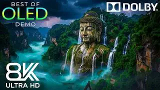 Ultimate Visual Experience | 16K HDR Dolby Vision OLED Nature Demo for Premium 8K/4K TVs