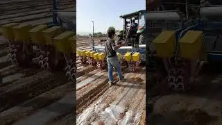 пахта эгищ гаровтида