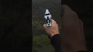 Desert Eagle rain shot