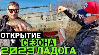 Ловля КРУПНОЙ ПЛОТВЫ //Плотва с каждого заброса//Ловим на Ладоге//