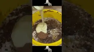 угарная кухня с Аришей / пирожное "Картошка"