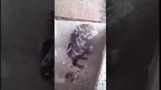 Руки базуки умер