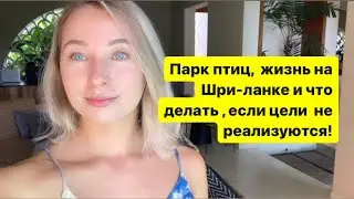 Шри-ланка, парк птиц, что делать с невыполненными целями?