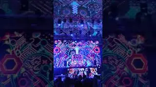 Entheogenic на фестивале Зимняя Сказка 2019