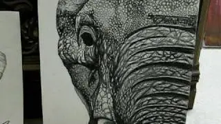 My latest art drawings
