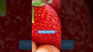 Клубника польза #здоровье #аллергия #семена #диета