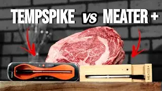 Which One is BETTER? Comparing the TempSpike and The MEATER +