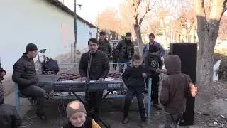 Аличон 2023