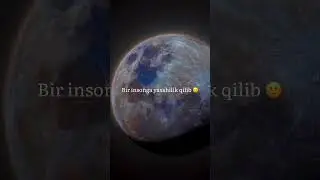 Hozir qanaqa zamon ?
