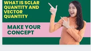 What is scalar and vector quantity