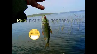 Рыбалка на попловочку!!!!!Рыбалка 2020!!!!