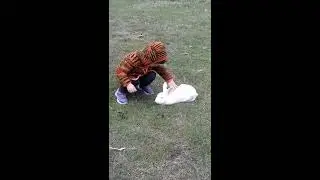 Bahçemiz ve Tavşanlarımız
