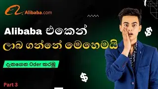How to order from Alibaba | Low shipping Cost | හරියට ලාබ ඇතිව Prodact  ගෙන්නමු |  Srilanka
