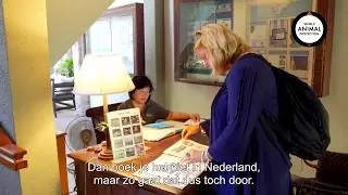 Loretta Schrijver waarschuwt voor entertainment met wilde dieren