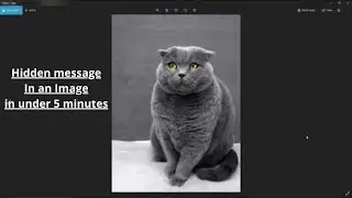 How to hide a text file in a image