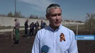В Сибае появится абрикосовый сад