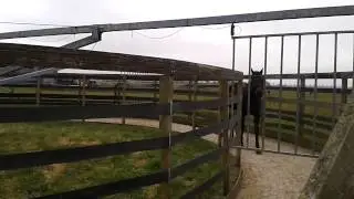Мое измененное видео