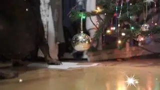 собака-убирака.