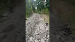 Построили дорогу (400м) через лес из асфальтного скола за 1 день
