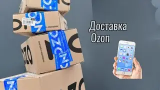Как посмотреть статус заказа. Что делать, если заказ - отменили и почему так бывает