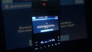 Диагностика с помощью сервиса Bluelink на новом Hyundai Tucson 2021