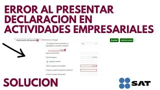 Errores al Presentar Declaración en Actividades Empresariales SAT 2024