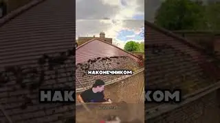 Fascinating process of cleaning roofs and tiles 😮🔥