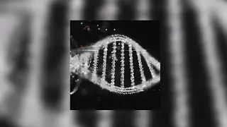[FREE DOWNLOAD] HARD AMBIENT TRAP TYPE BEAT 2020