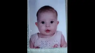 Festa bibi