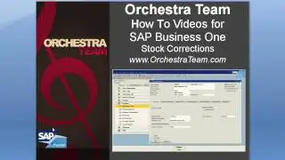 SAP Business One - How To - Stock Correction