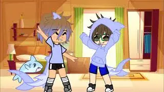 shark//read des