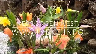 Verborgen nest