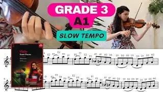 Grade 3 - A1: 