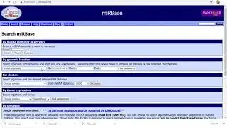 miRBase