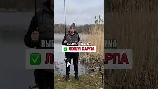 НЕЛЬЗЯ делать такое расстояние между кормами, ловя карпа 
