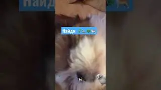 Если найдёшь всё то ты милашка🤗 простите те у кого такой экран что не видно 🦚 вы всё равно милашки