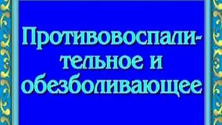 ОРИС Сеанс исцеления. Противовоспалительное и обезболивающее