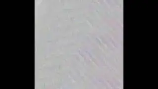 Emisión en directo de Python Vigo