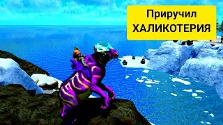 приручил ХАЛИКОТЕРИЯ|Арк Мобайл