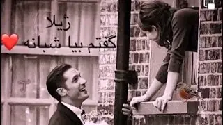 ژیلا -گفتم بیا شبانه-را دیویی Zhila