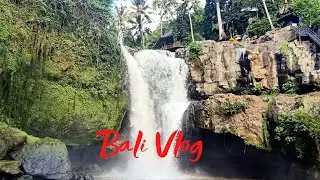Bali Vlog - Temple & Waterfall