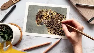 Layering And Color Choice | Colored Pencil Drawing Tips For Beginners