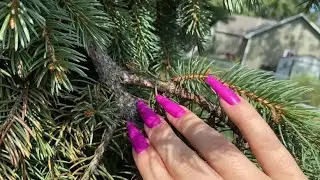 ASMR: FAST + GENTLE scratching & tapping OUTSIDE - Concrete scratching - Camera tapping