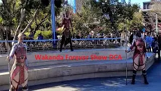 Black Panther Dora Milaje Warriors of Wakanda Show in Avengers Campus at Disney California Adventure