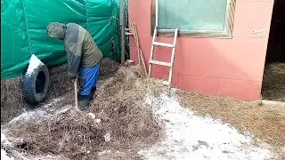 Удивительная посылка от подписчика/И как дошёл наш сыр
