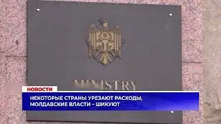 Некоторые страны урезают расходы, молдавские власти – шикуют
