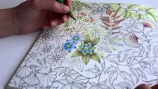 Testing 5 Faber Castell  Polychromos Pencils